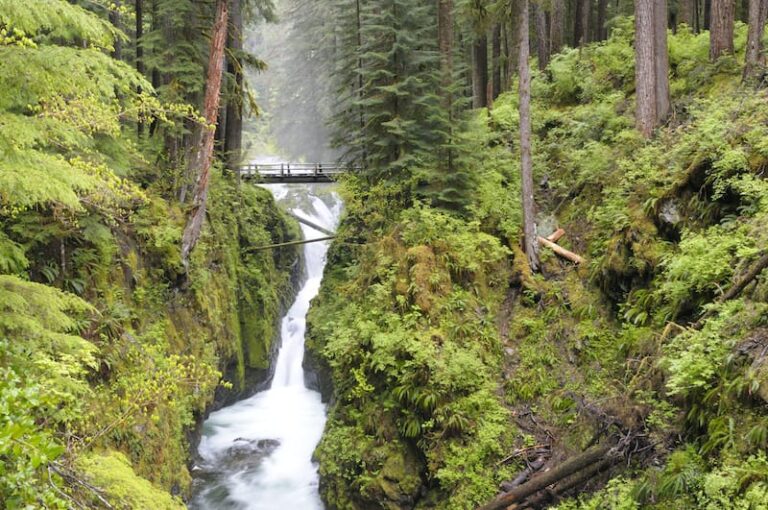 Best Hikes In Olympic National Park For All Levels Map