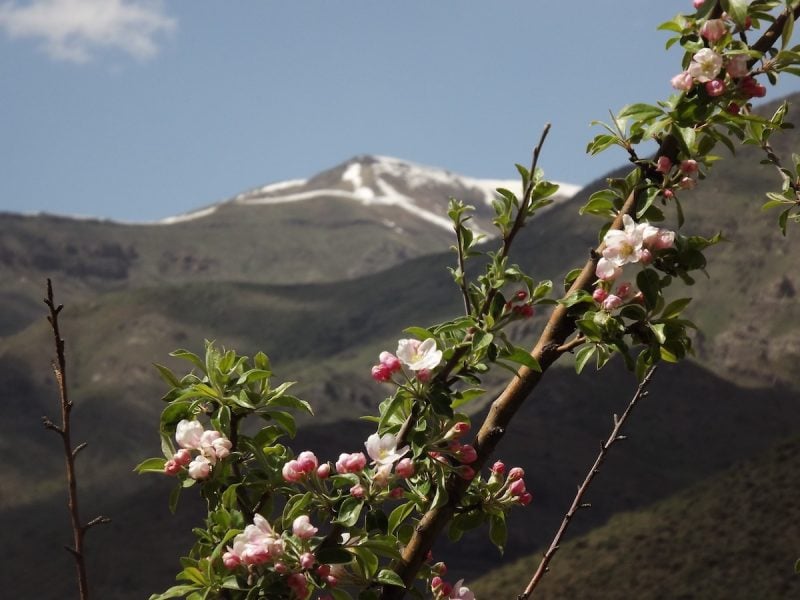 23 Most Beautiful Places To Visit In Armenia In 2024   Tk 3 800x600 