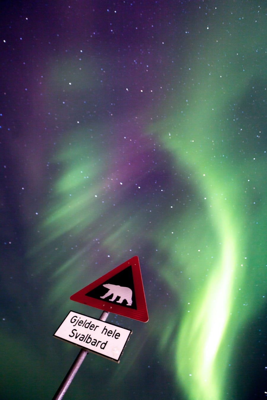 Svalbard Northern Lights Guide How To See Them Tips