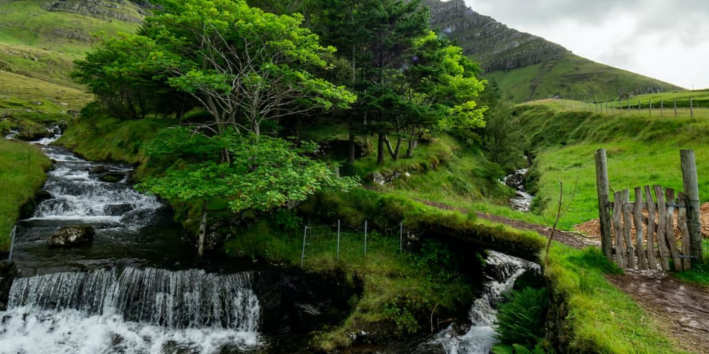 Kunoy, Faroe Islands: Home of the Famous Faroese Forest