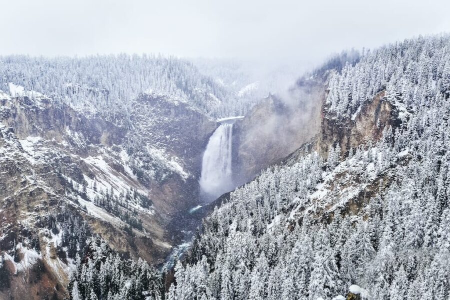 Yellowstone in Winter Reasons to Visit, Things to Do, & Tips