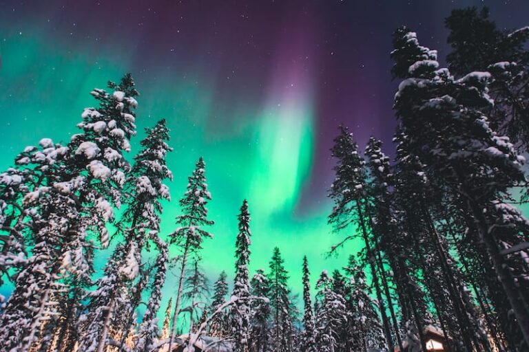 How To See The Northern Lights In Rovaniemi (Best Tours + Tips)