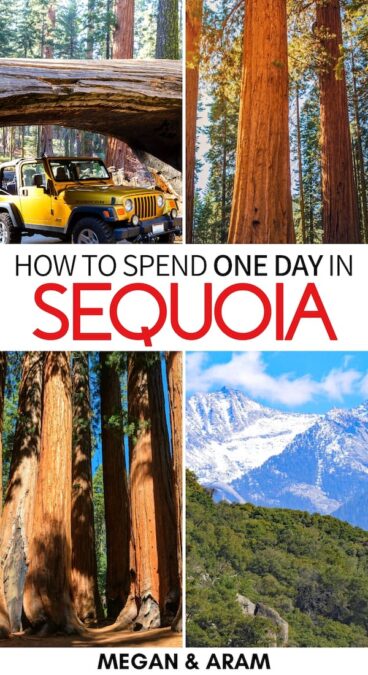 One Day in Sequoia National Park: Perfect Itinerary + Tips