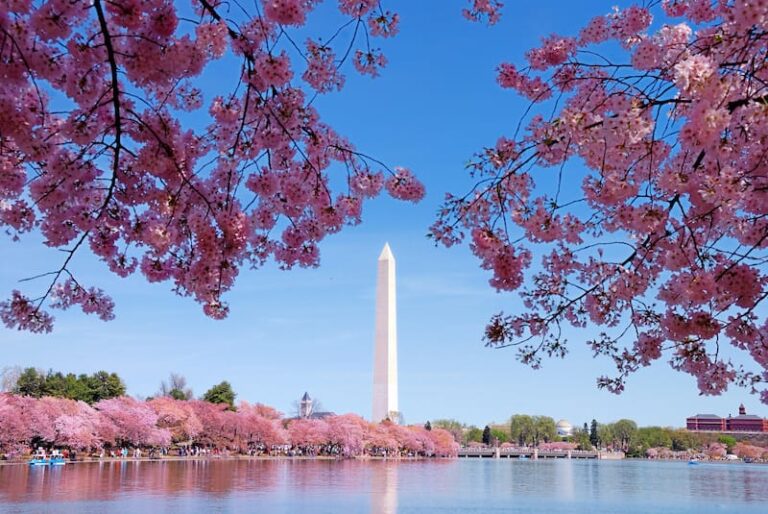 23 Best Places to Visit in April in the USA (+ Spring Tips!)