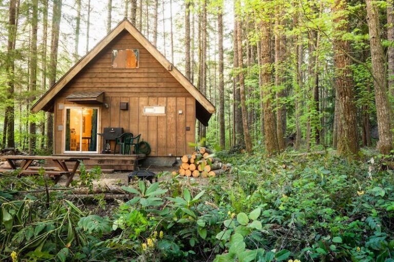 12 Cozy Cabins Near Mt Rainier Airbnbs With Hot Tubs 