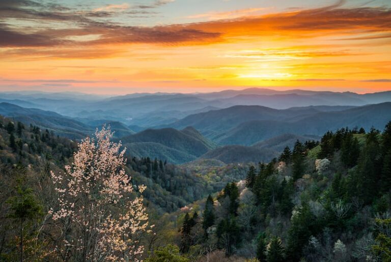 Ultimate Blue Ridge Parkway Itinerary: Tips, Stops, & Map!