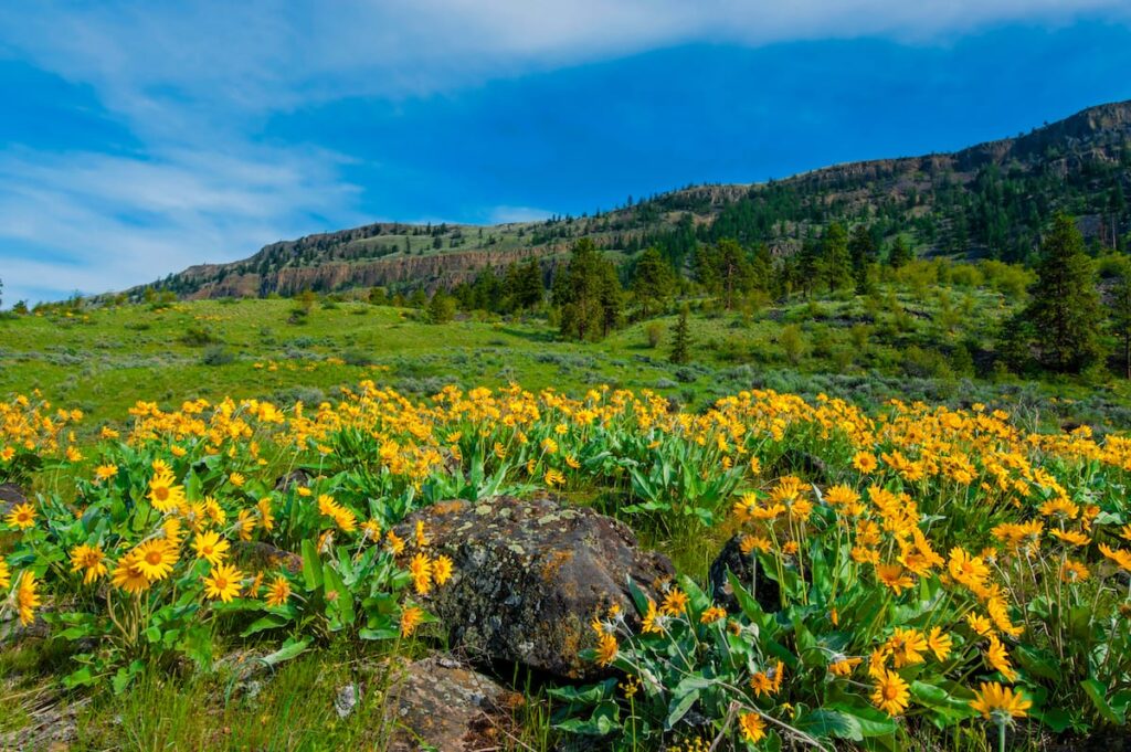 13 Best Things to Do in Wenatchee, WA (+ Seasonal Activities)