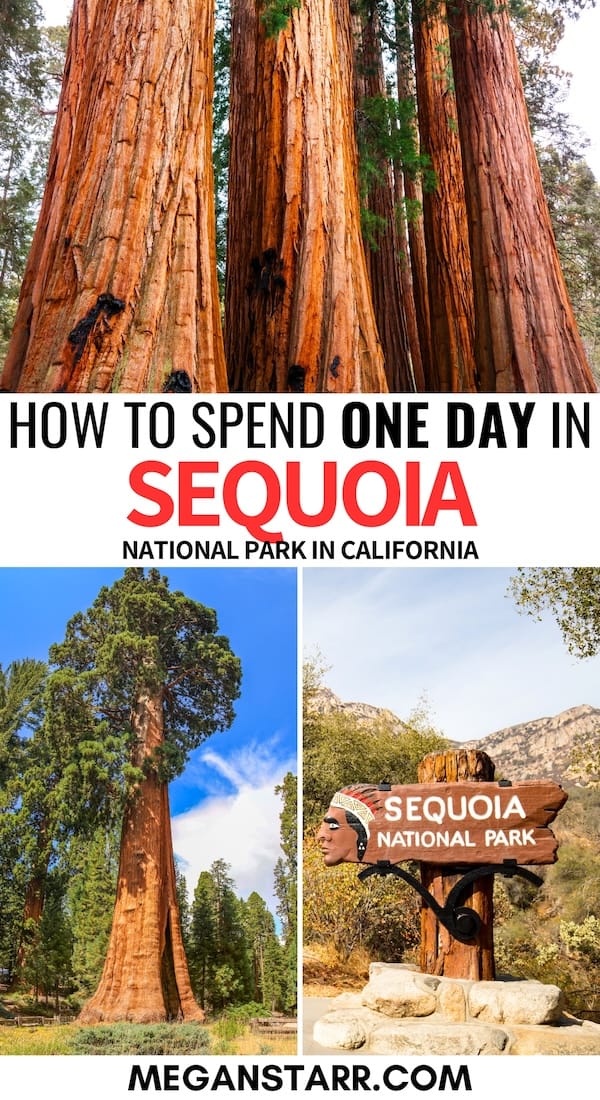 One Day in Sequoia National Park: Perfect Itinerary + Tips