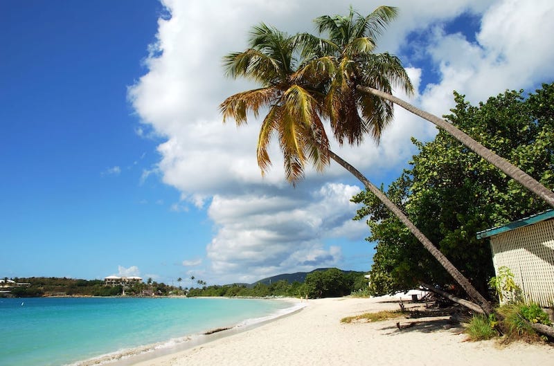 12 Best Beaches in St. Thomas, USVI (That'll Blow Your Mind!)