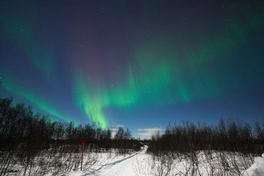 5 Best Tromso Northern Lights Tours + Tips (2024-2025)