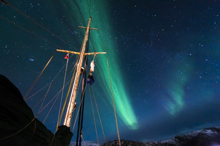 8 Best Tromso Northern Lights Tours + Tips (2023-2024)