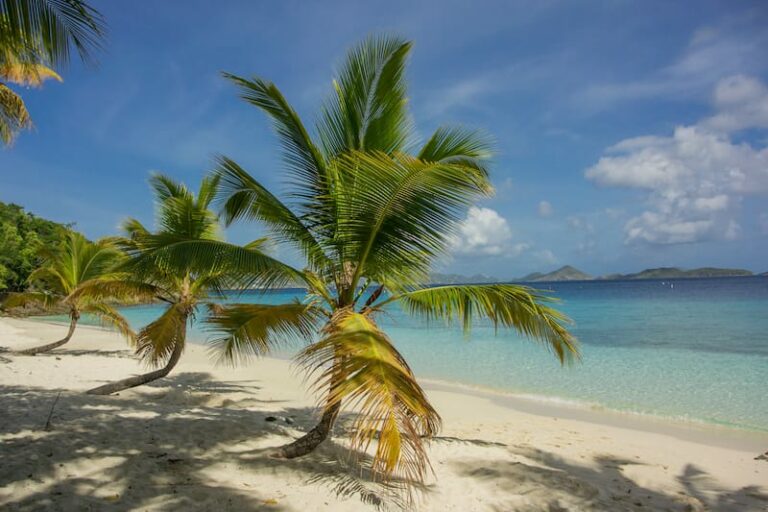 13 Most Beautiful St. John Beaches (+ Tips for Each!)