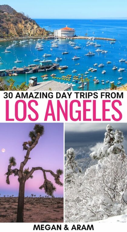 best day tours la