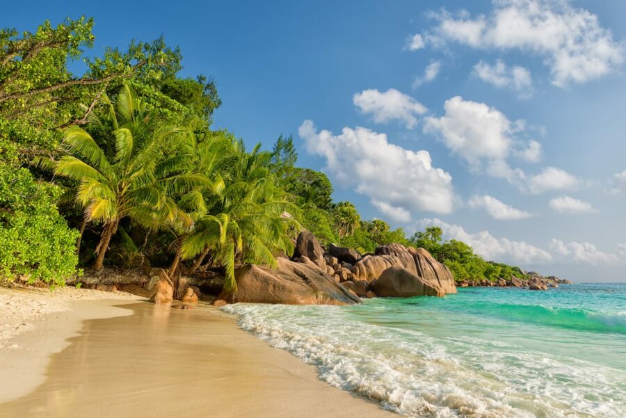 22 Best Things to Do in the Seychelles (for Your Bucket List!)