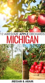 11 Best Apple Orchards in Michigan (for Fall Apple Picking!)