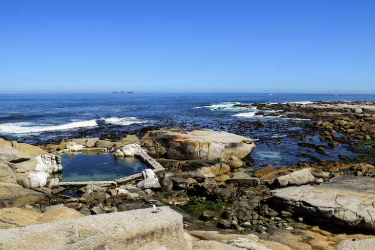 8 Best Tidal Pools In Cape Town, South Africa (with Map!)