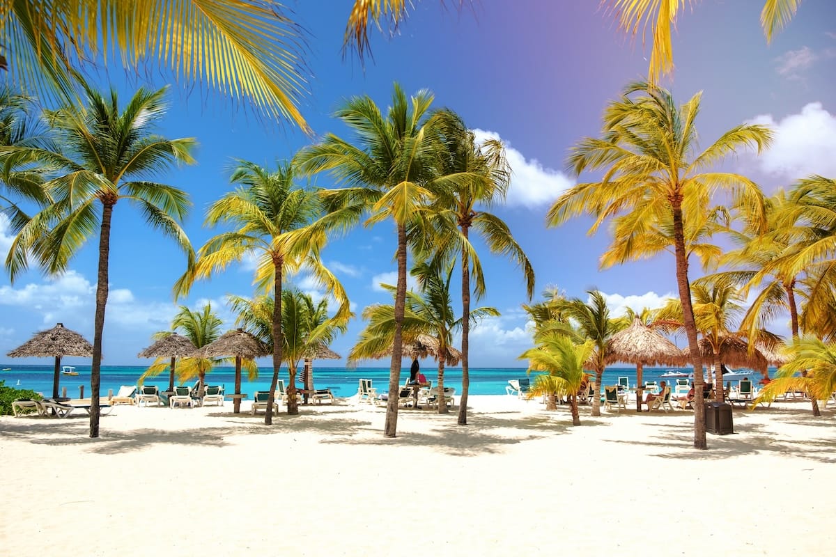 a beach with palm trees and umbrellas at Aruba's Palm Beach